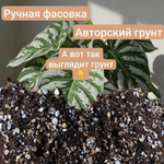 Авторский грунт для Аллоказий 1 литр