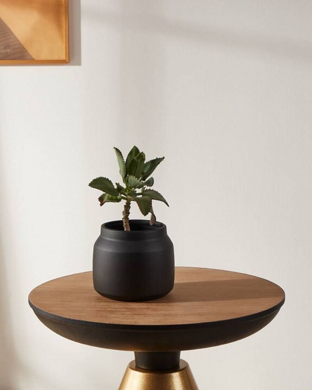 Кашпо Eglo Parkent 428144