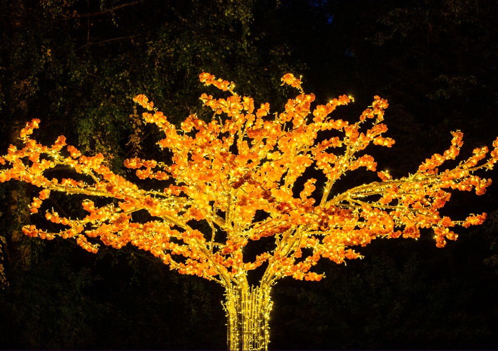 Световое дерево с цветами «Сакура»