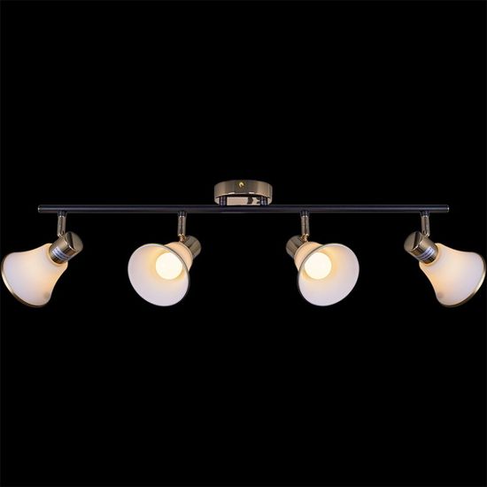 05901-0.8-04 BK+FGD светильник потолочный