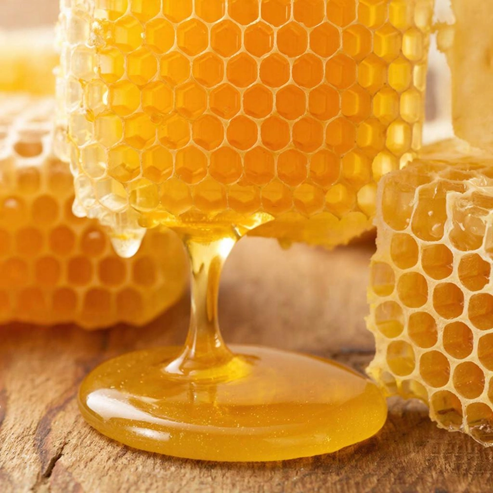 Соты с мёдом