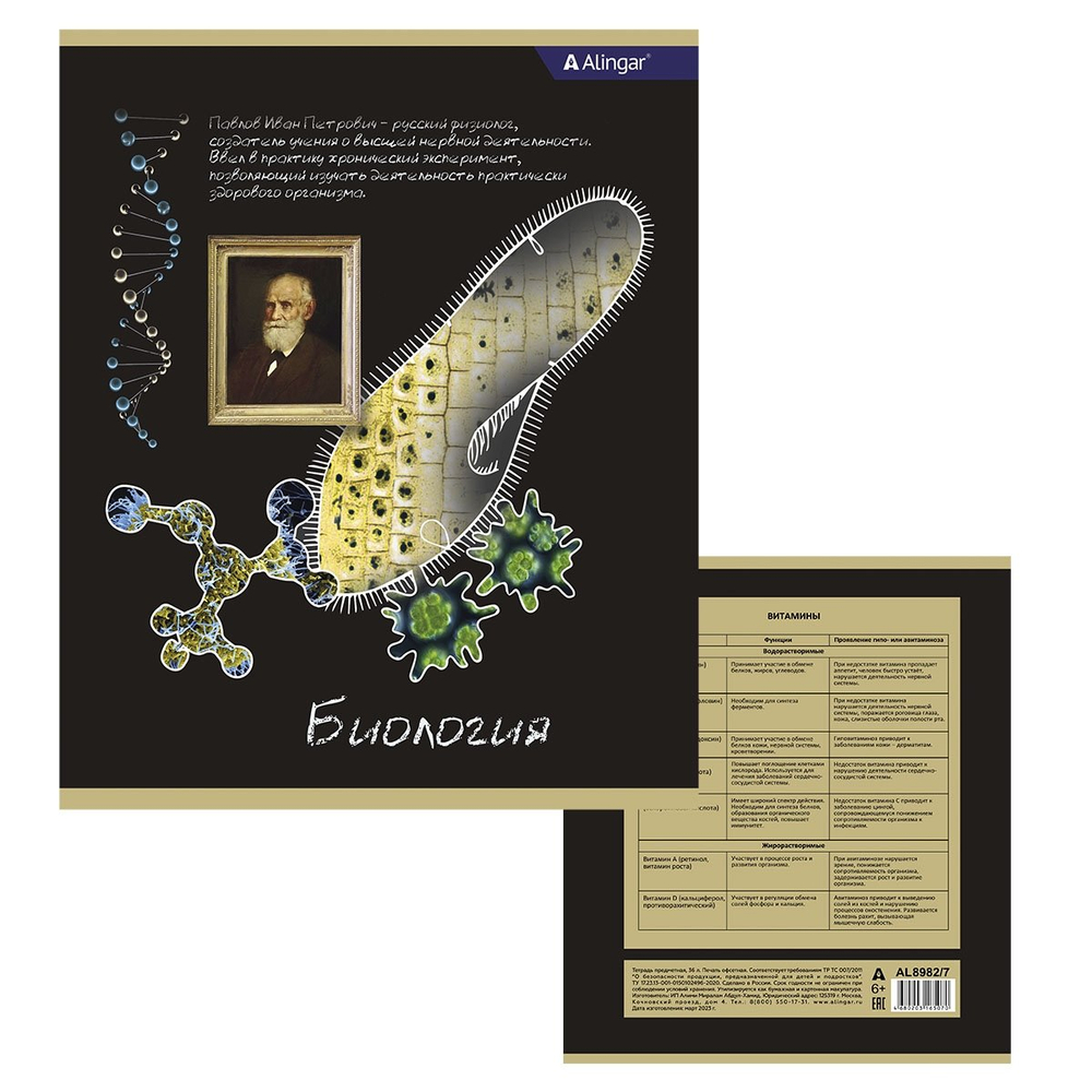 Комплект предметных тетрадей А5 36л., 10 предметов, со справочным материалом, на скрепке, мелованный картон (стандарт), Alingar "К доске!"