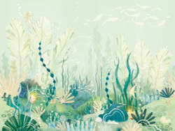 Коллекция Fancy