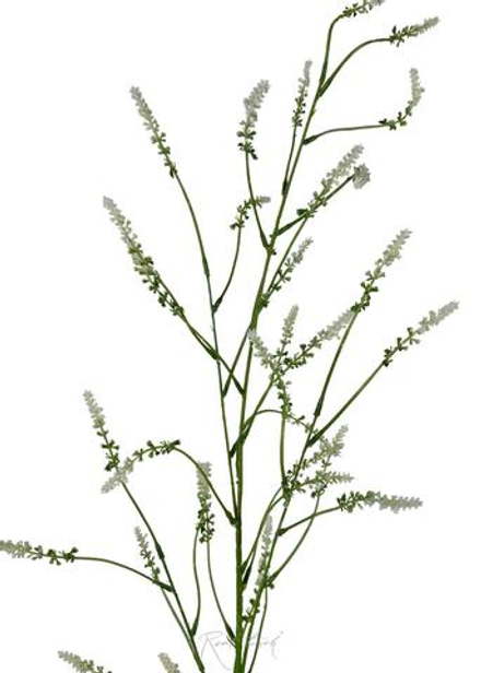 Донник 125 см - Белый