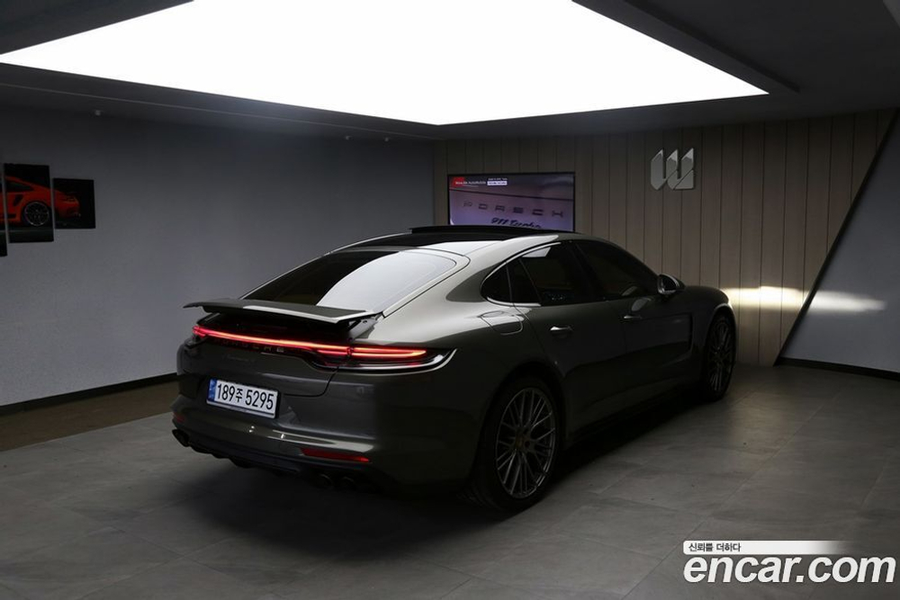 Porsche Panamera (971) 2.9 AWD Platinum Editions (08.2022)