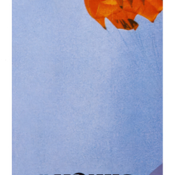 Бинокль Konus Konusarmy 8x42 WA — упаковка