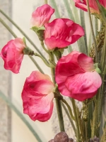 Искусственные цветы для декора