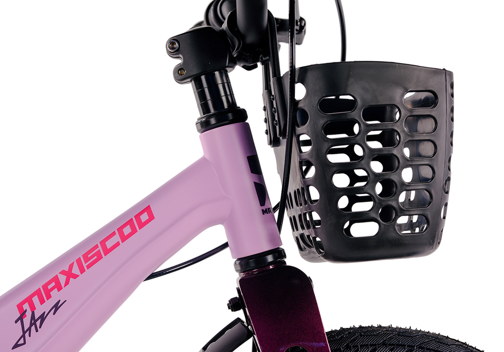 Maxiscoo JAZZ Pro 14'' (2025)