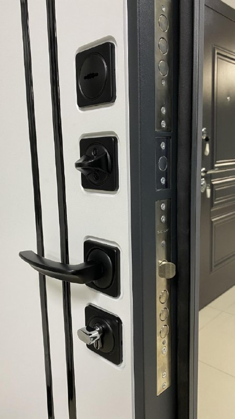 Дверь входная Брайтон