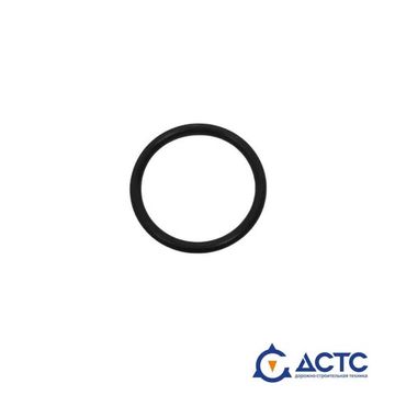 Кольцо SHANTUI