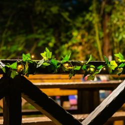 USL-S-135-PT2000 IVY Садовая гирлянда на солнечной батарее Плющ. 20 светодиодов. Теплый белый свет. 1xАА Ni-Mh аккумулятор в-к. IP44. TM Uniel