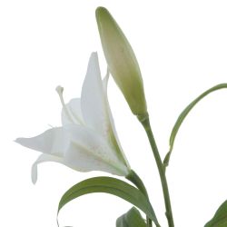 GAEM Цветок искусственный "Лилия", L26 W12 H84 см