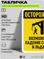 Табличка для обеспечения безопасности "Осторожно, возможно падение снега и льда", для офиса, по охране труда для предприятия, организаций, 40х30 см, Silver Plane x Айдентика Технолоджи