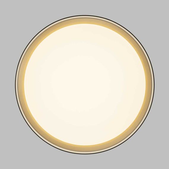 Потолочный светодиодный светильник Citilux Boss CL751351G