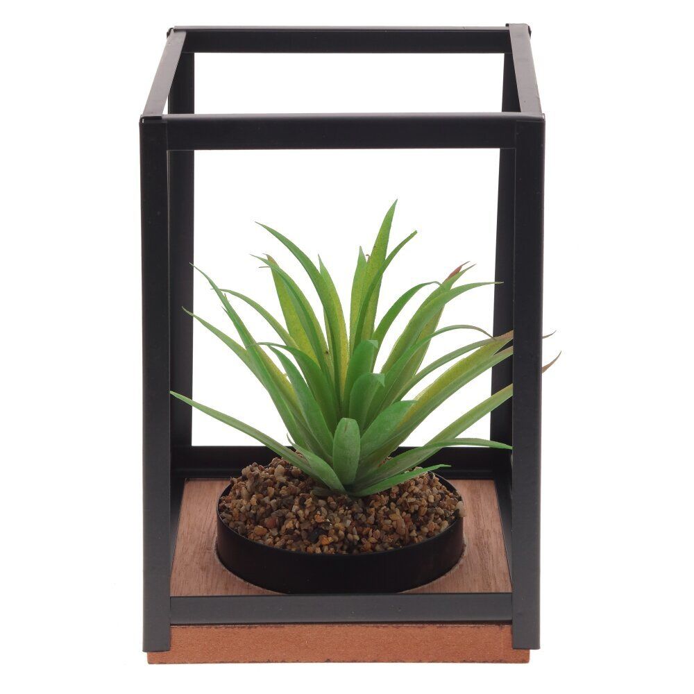 GAEM Цветочная композиция "Суккулент", L14 W14 H21 см