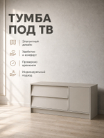 Тумба под ТВ Ева 120х52х40 см 2 ящика без ручек Альбина