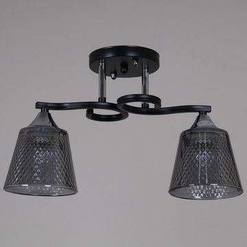 06089-0.3-02 BK+CR светильник потолочный