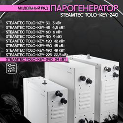 Steamtec TOLO KEY 240 - 24 кВт (ВЛАГОСТОЙКИЙ модуль управления). парогенератор для хамама и турецкой бани