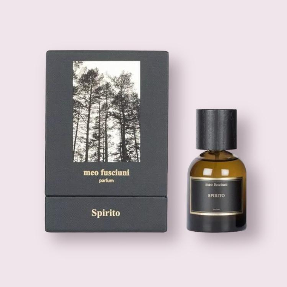 Парфюмерная вода Meo Fusciuni "Spirito", 100 ml (LUXE)