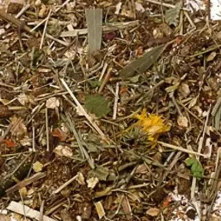 Гастритный Сбор 25кг