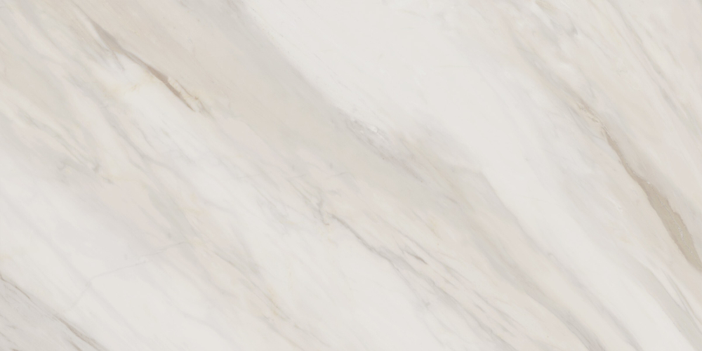 Carolina Crema 60120CAA01