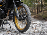 Royal Enfield Himalayan 450 Hanle Black (Premium)