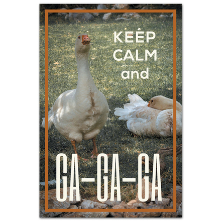 Keep Calm и ГА-ГА-ГА!