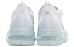 Кроссовки Nike Air Vapormax 2023 Flyknit "Pure Platinum"