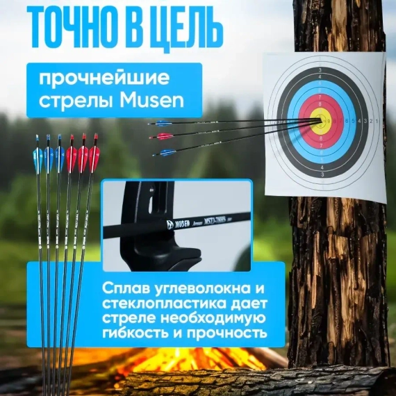 Лук спортивный для охоты и стрельбы, со стрелами (40 lbs)