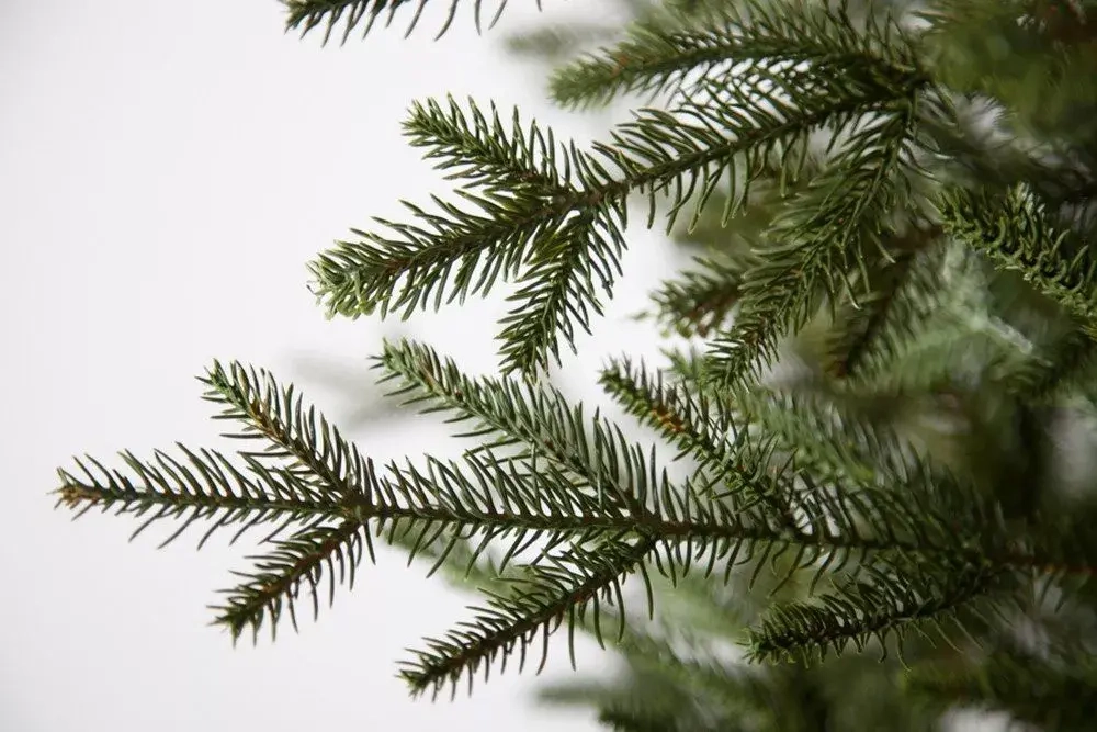 Искусственная ель Французская 185 см., литая хвоя+пвх, Black Box (74377)