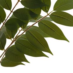 GAEM Ветка искусственная, L W H53 см