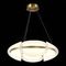 Подвесной светодиодный светильник ST Luce Etoile SL1304.203.45