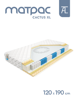 Матрас Mr. Mattress Cactus XL, независимые пружины