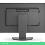 Монитор NEC MultiSync EA242WU (черный)