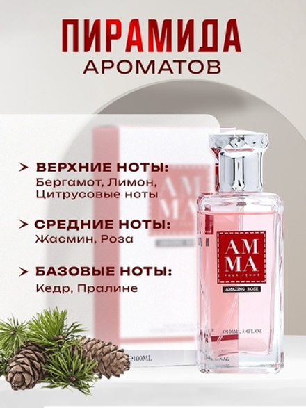 Туалетная вода женская Amazing Rose, 100 мл