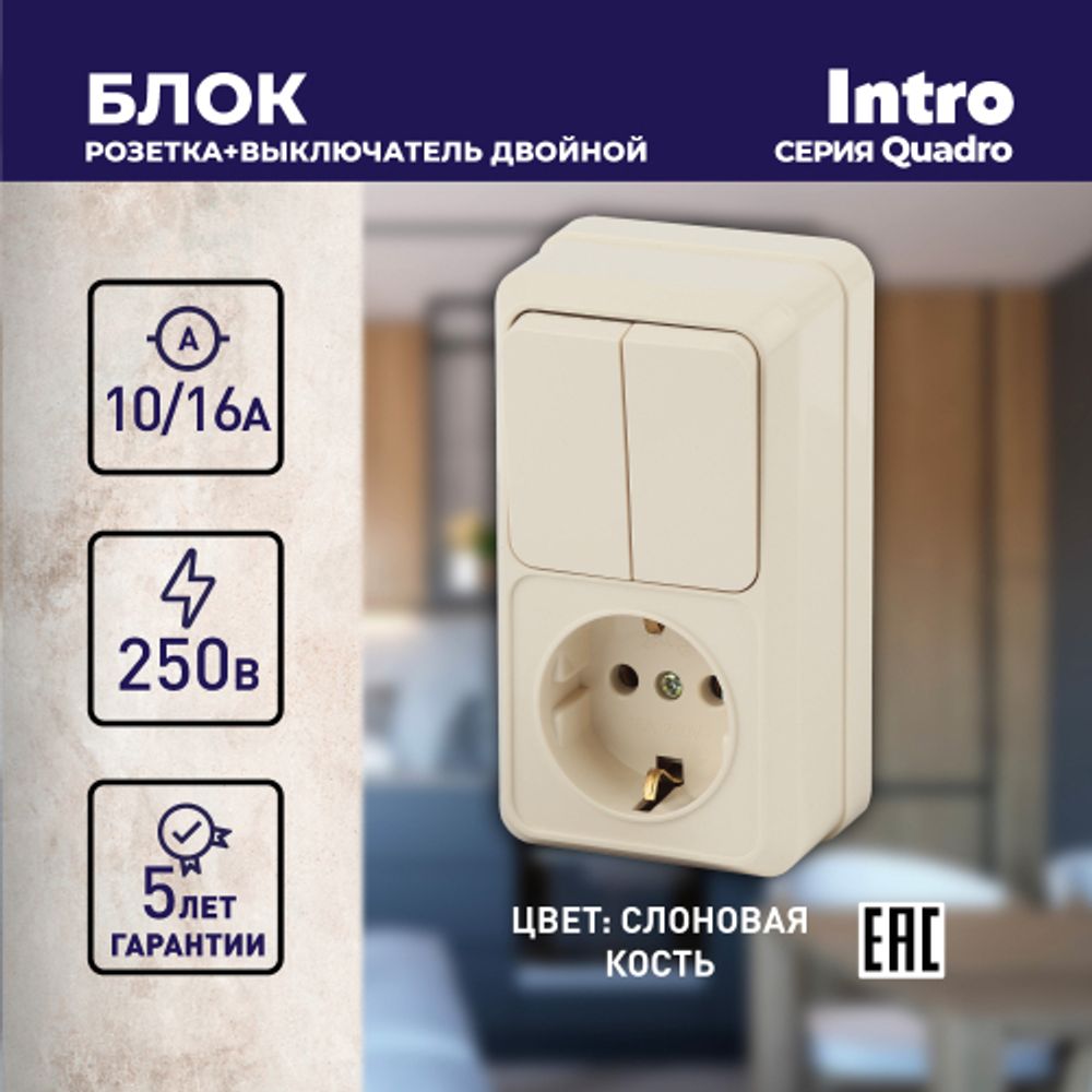 Блок розетка с выключателем Intro Quadro 2-706-02 двойным вертикальный 10А-250В, IP20, ОУ, слоновая кость