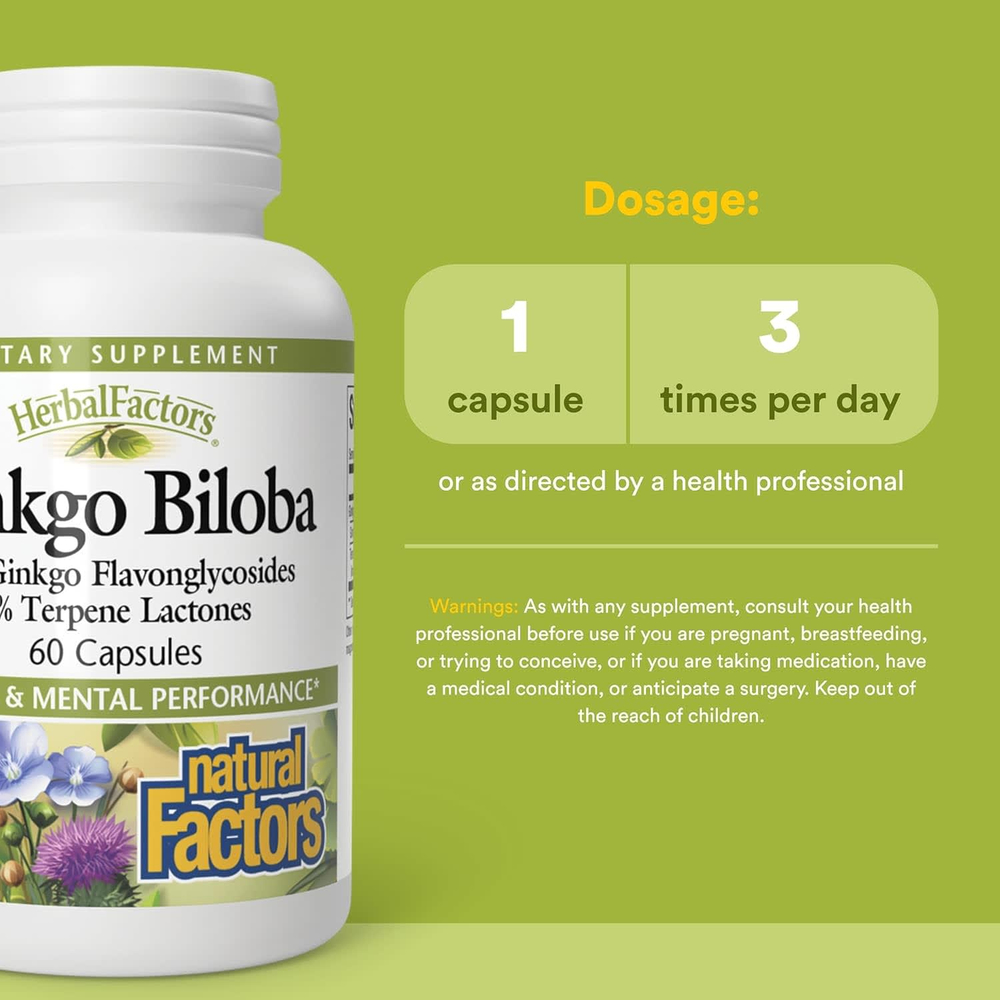 Natural Factors, HerbalFactors®, гинкго билоба, 60 капсул