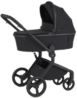 Детская коляска Anex Flo 2 в 1 Lungo