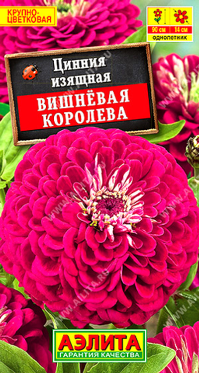 Цинния Вишневая королева