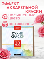 Набор сухих красок 20 цветов «Classic»