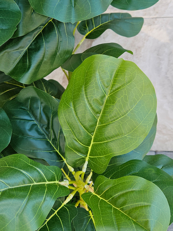 Искусственное растение Фикус Лирата зеленый 110см в кашпо