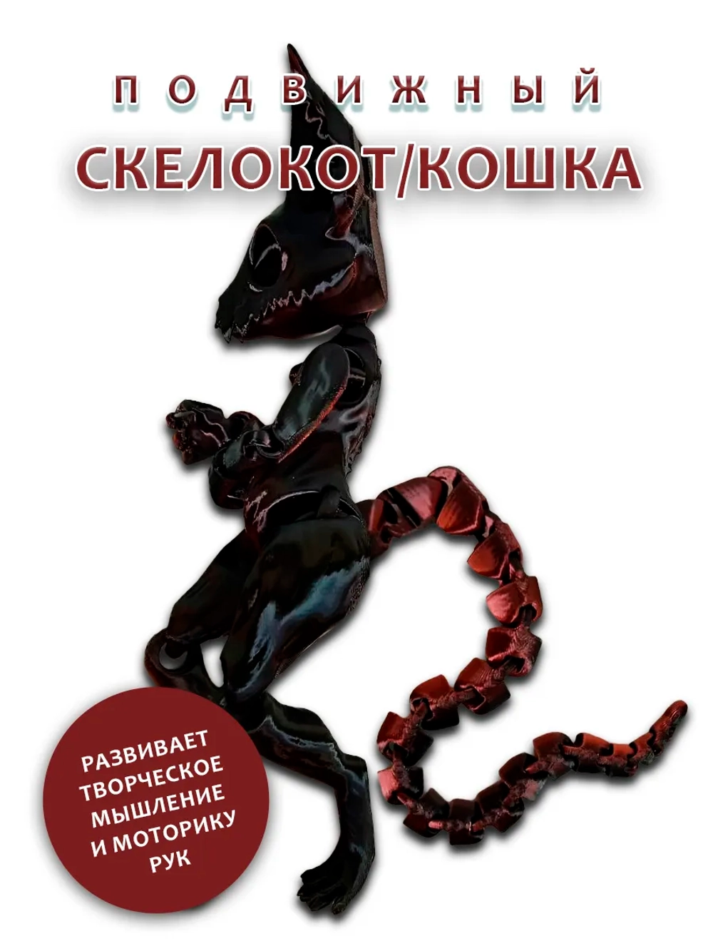 Скелет Кошки