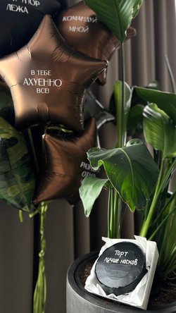 Шары к 23 февраля №49