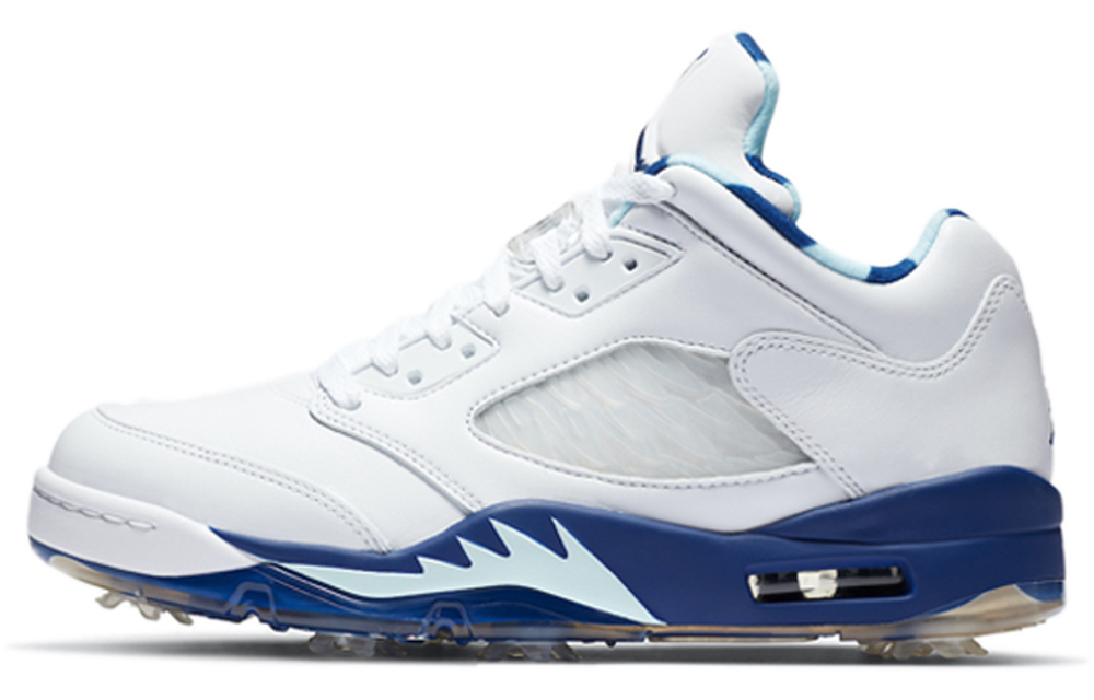 Кроссовки Jordan Air Jordan 5 Low Golf "Grape Ice"
