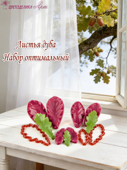 Листья дуба. Набор оптимальный
