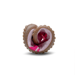 Leguano CARIBEO ROSE