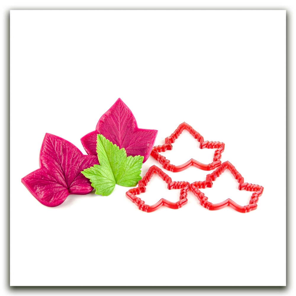 Лист смородины крупный