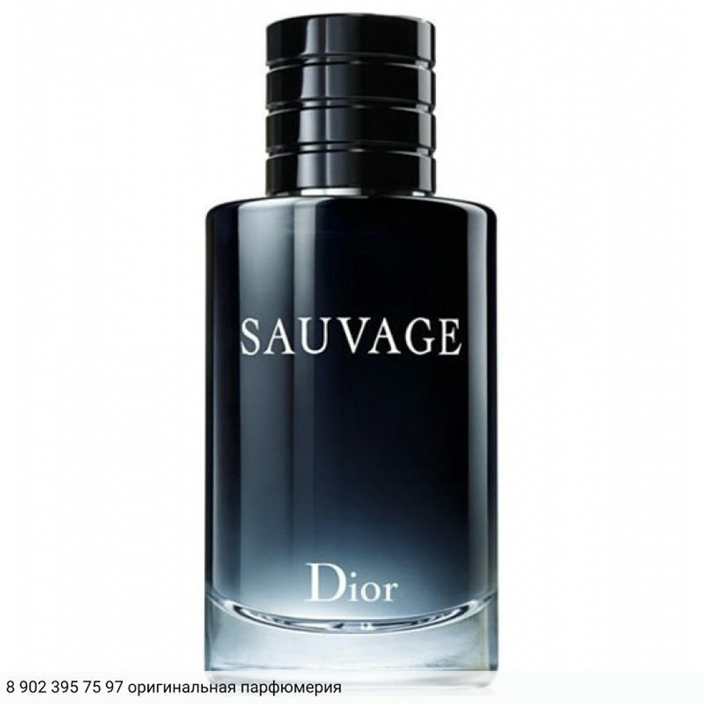 Sauvage 2015