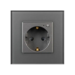 Розетка электрическая с Zigbee управлением SCT-OMALI-EUZB1-PL-GR (240V, 16A, Zigbee) (Arlight, -) 050101