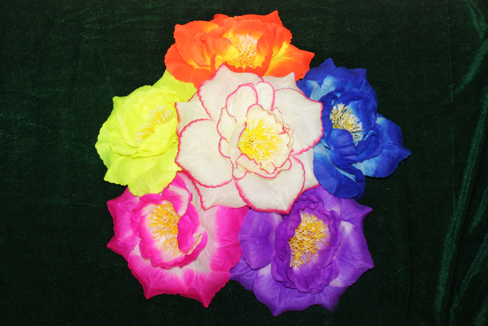 Г 1309 Мальва крупная